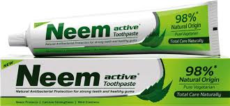 NEEM TOOTHPASTE 100GMS